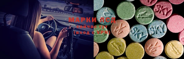 spice Армянск